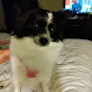 Meet your Posher, Sean